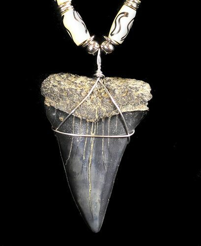 Fossil Mako Shark Tooth Necklace #36575
